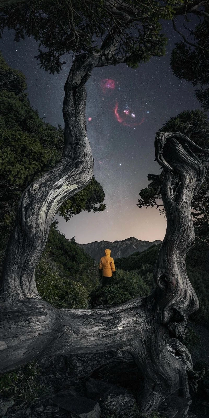 Thức dậy cùng ảnh dọc phong cảnh tuyệt mỹ