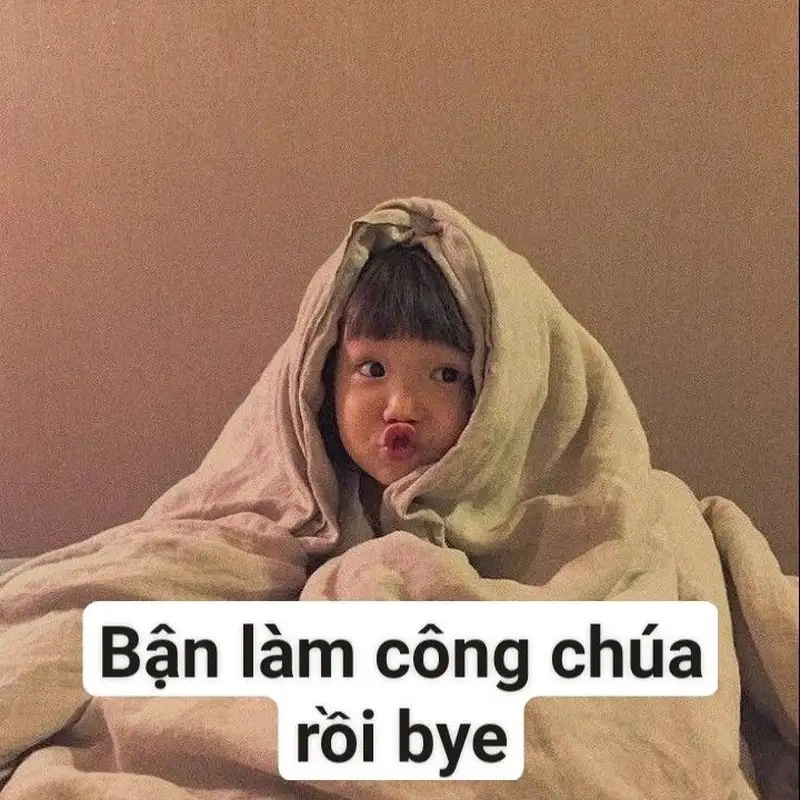 Ảnh em bé meme là gì?