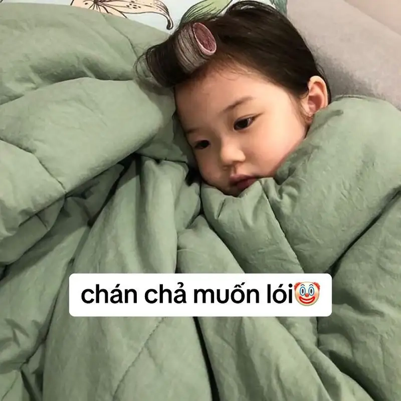 Giải trí mỗi ngày với meme em bé siêu hài cực hot