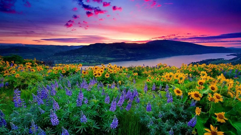 Sưu tầm những bức ảnh phong cảnh lãng mạn hoàng hôn