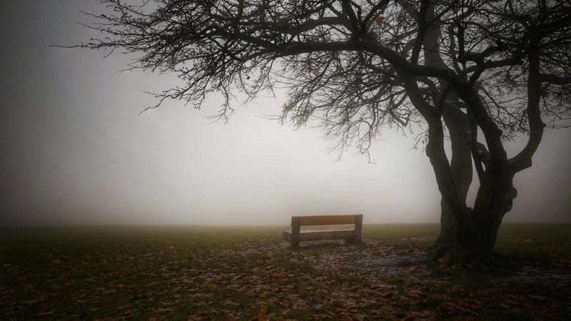 Săn những bức ảnh thiên nhiên buồn lãng mạn