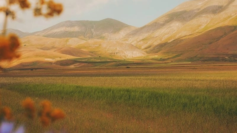 Thức dậy cùng ảnh thiên nhiên buồn man mác