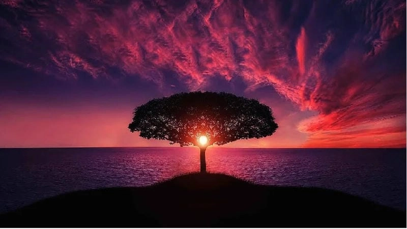 Sưu tầm những bức ảnh thiên nhiên buồn thơ mộng