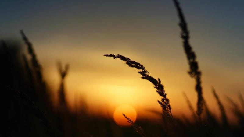 Lạc lối trong ảnh thiên nhiên buồn trữ tình