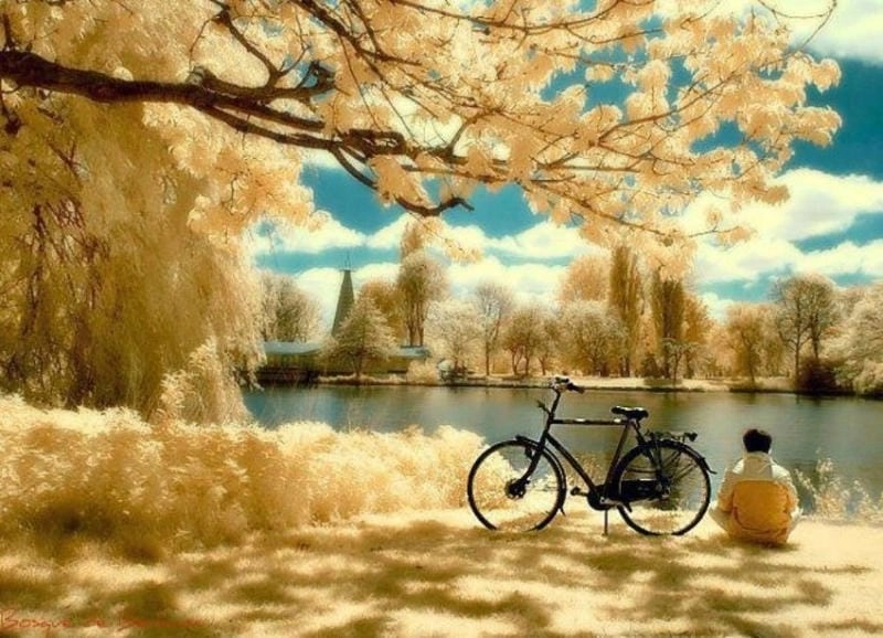 Tìm về ảnh thiên nhiên buồn sâu lắng