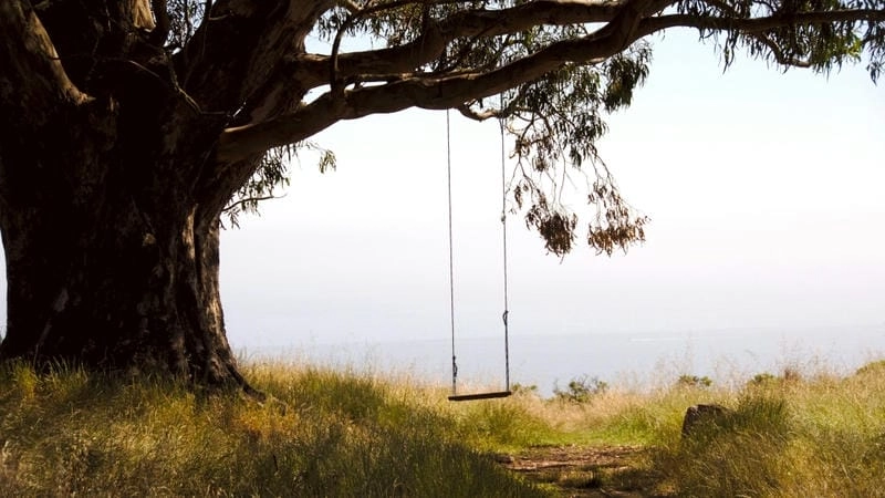 Chiêm ngưỡng vẻ đẹp ảnh thiên nhiên buồn tâm trạng