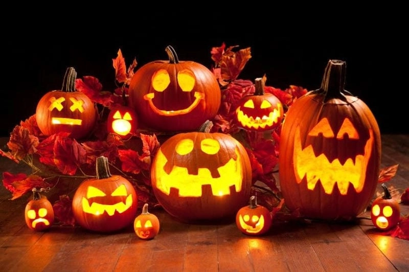 Cùng đắm mình trong bí ngô Halloween rực rỡ