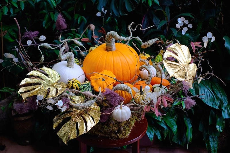 Tìm về bí ngô Halloween hấp dẫn