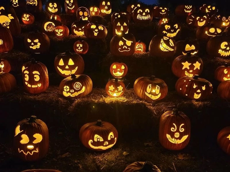 Tải ngay bí ngô Halloween độc đáo