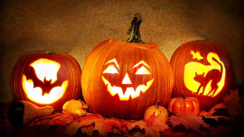 Săn những bức ảnh bí ngô Halloween sôi động