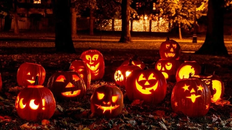 Lạc lối trong bí ngô Halloween đặc sắc