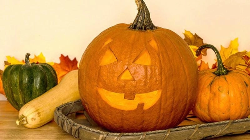 Gợi ý những bức bí ngô Halloween cuốn hút