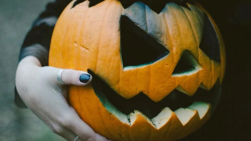 Lạc lối trong bí ngô Halloween huyền ảo