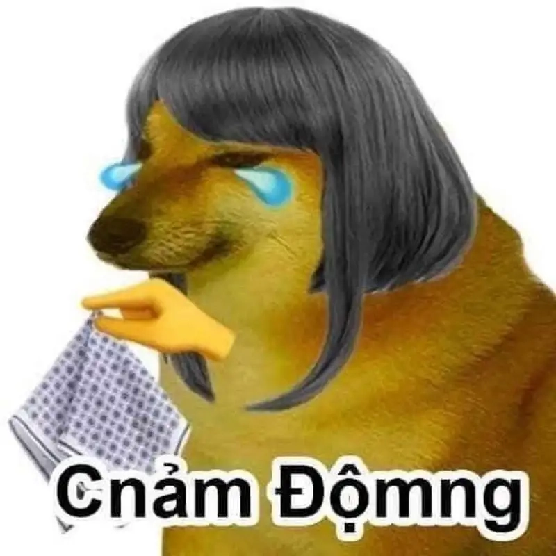Bộ sưu tập cheems meme ansiedad siêu biểu cảm