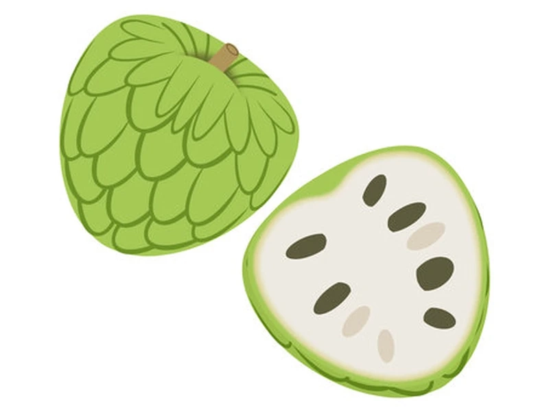 Khám phá nét tinh nghịch của quả na chibi