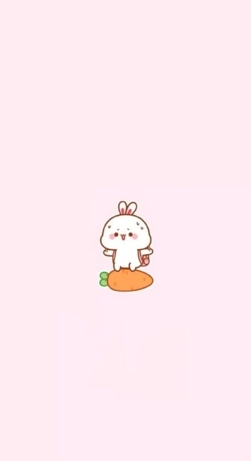 Con thỏ chibi là gì