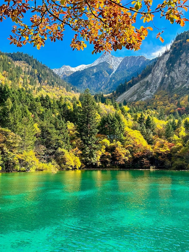 Tìm về Cửu Trại Câu hoang sơ