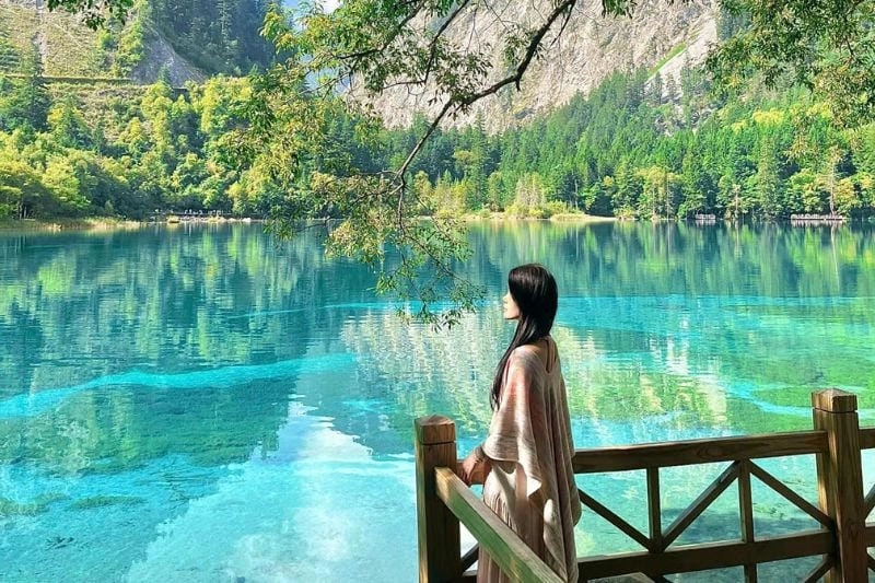 Cùng khám phá vì sao Cửu Trại Câu là điểm đến được yêu thích