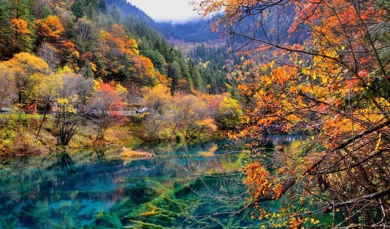 Ngắm nhìn vẻ đẹp Cửu Trại Câu kỳ quan