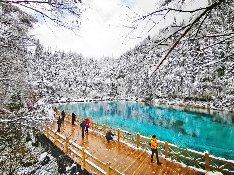 Sưu tầm những bức Cửu Trại Câu phong cảnh