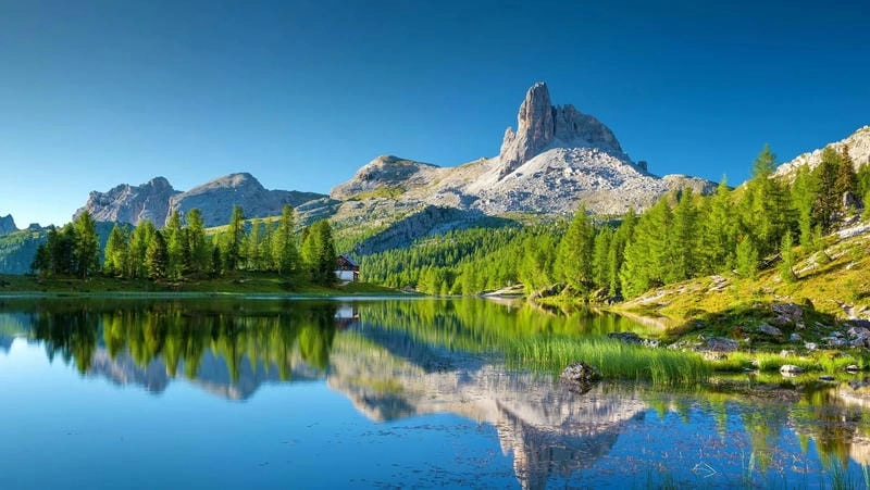 Gợi ý những bức dãy núi Alps hoang sơ