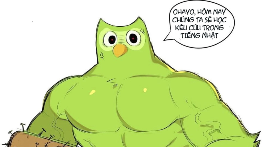 Duolingo meme là gì?