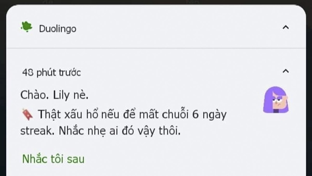 Thả mood với memes duolingo khiến ai cũng phì cười