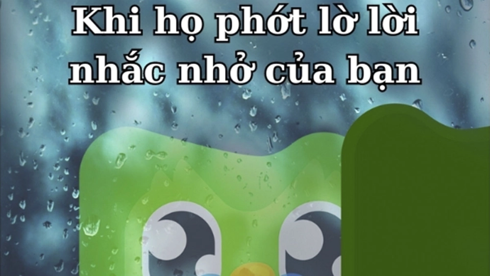 Kho ảnh duolingo meme png chất lượng cao free