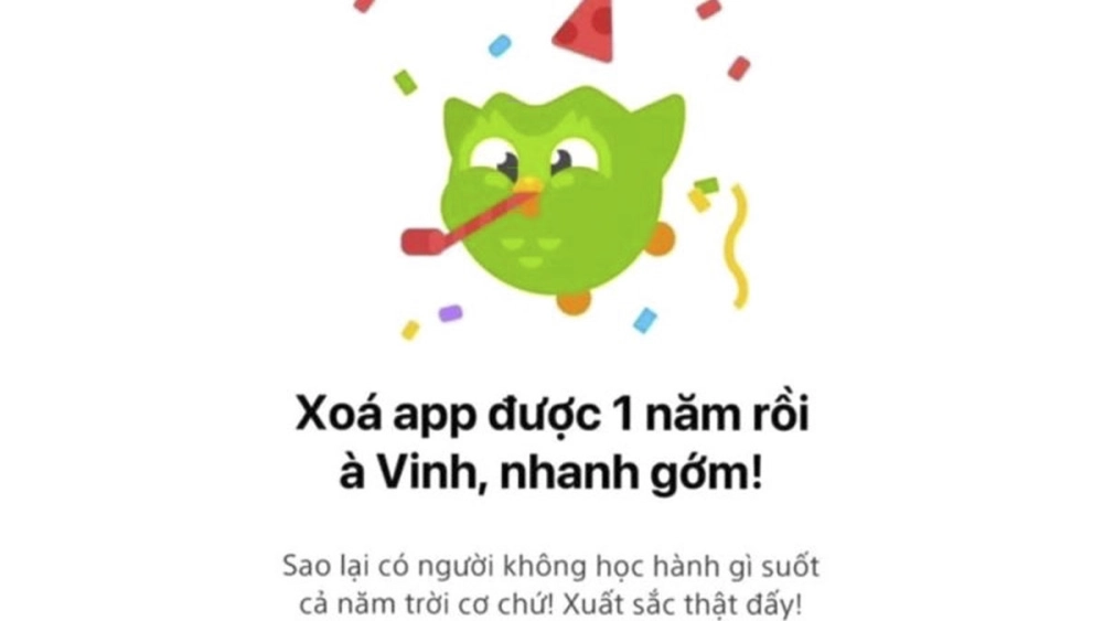 Cú lầy bá đạo trong duolingo meme tiếng việt