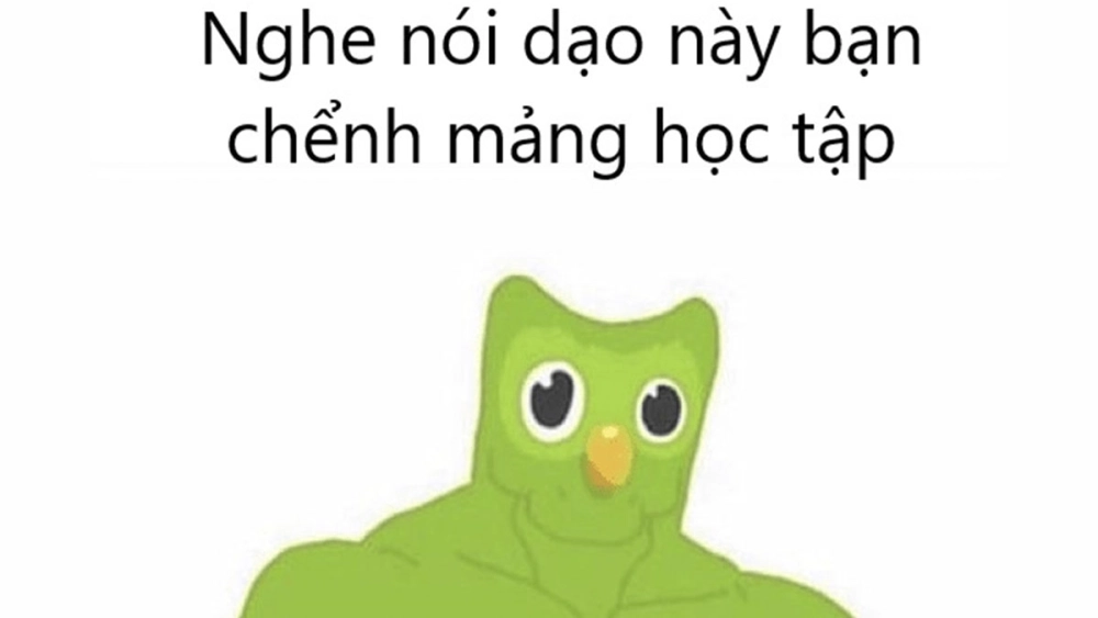 Sáng tạo meme từ duolingo meme template độc đáo