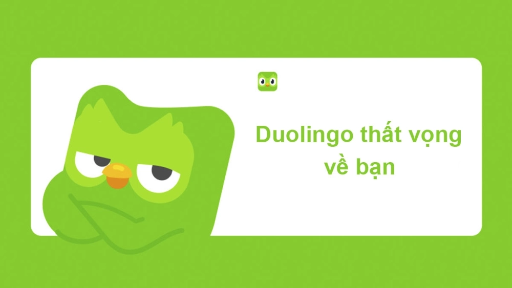 Trọn bộ duolingo meme ita cực chất