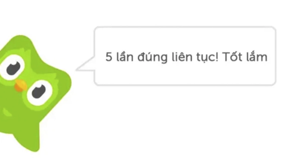 Meme cú nổi tiếng nhất chính là cú duolingo meme