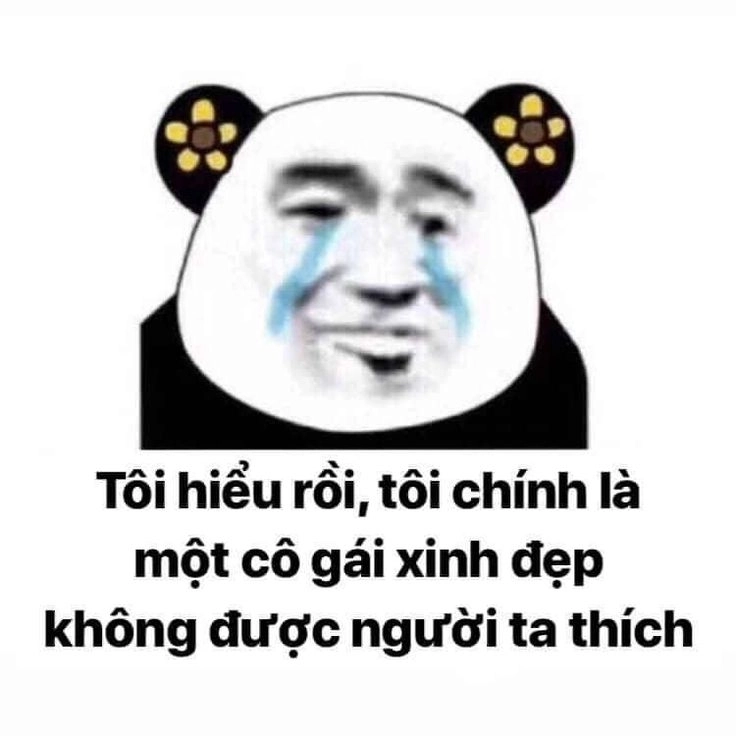 Không thể nhịn cười với ảnh meme gấu trúc bựa