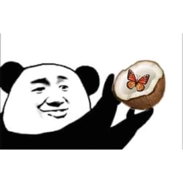 Chế cực độc đáo với ảnh chế meme gấu trúc bựa weibo