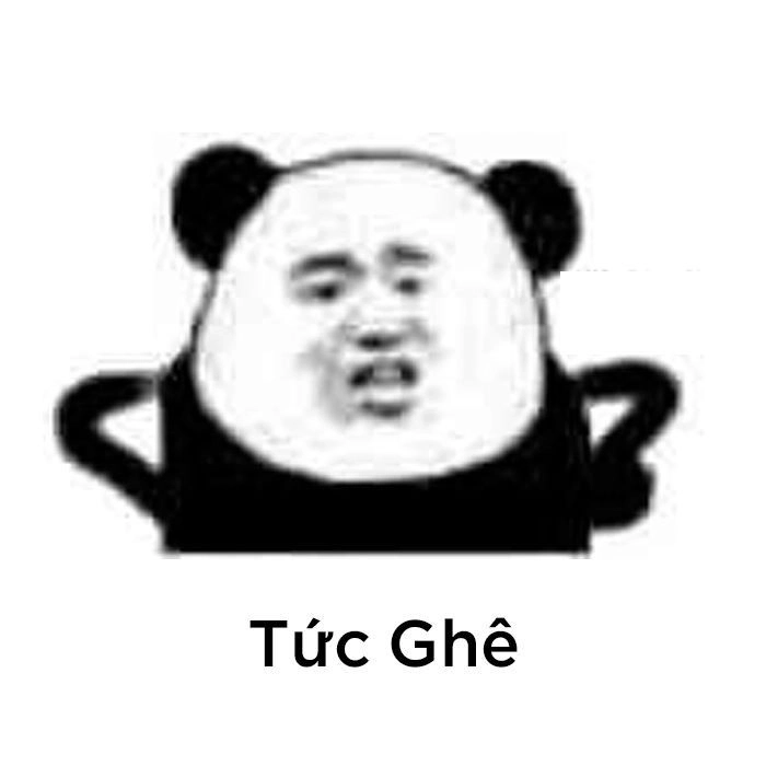 Cười sảng khoái cùng ảnh chế meme gấu trúc