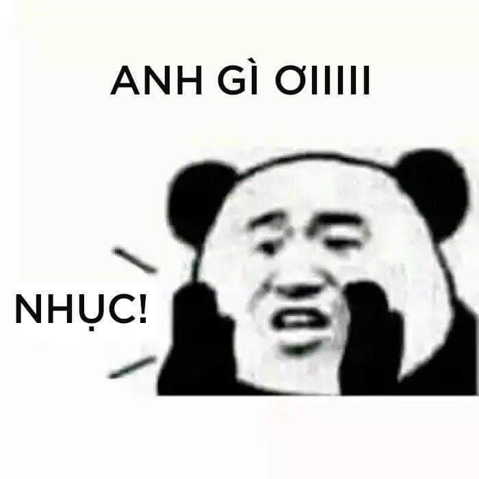 Tổng hợp thú vị ảnh chế meme gấu trúc bựa weibo