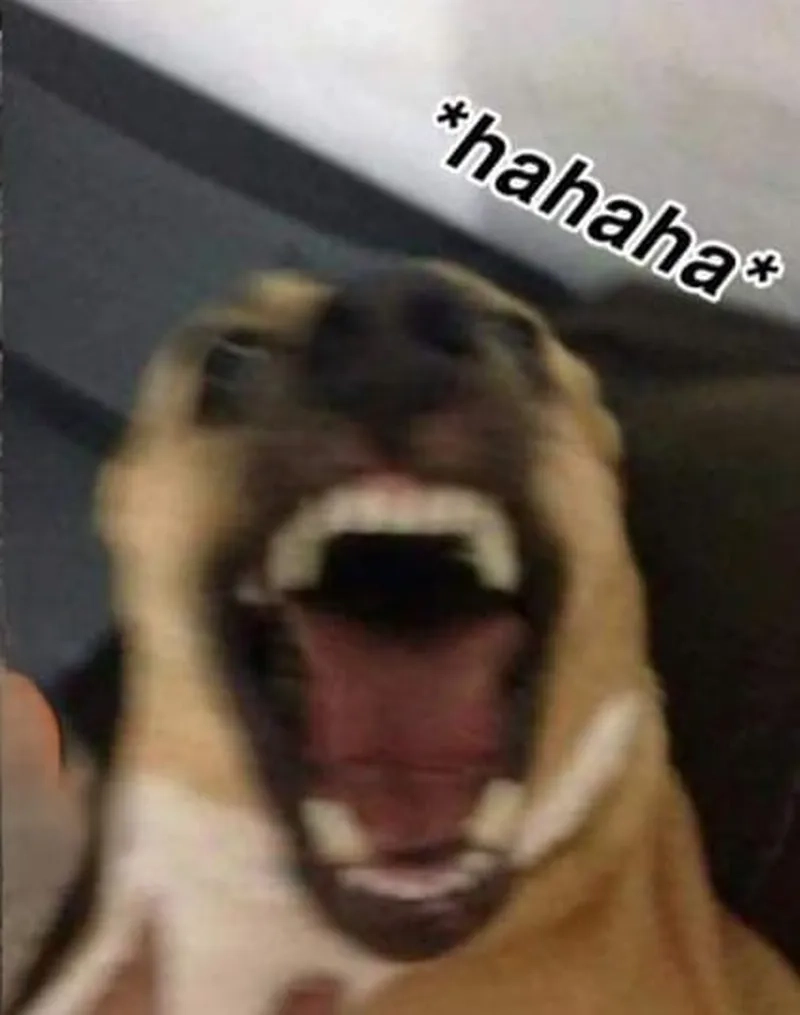 Thả mood cực chất với ah haha meme siêu bá đạo
