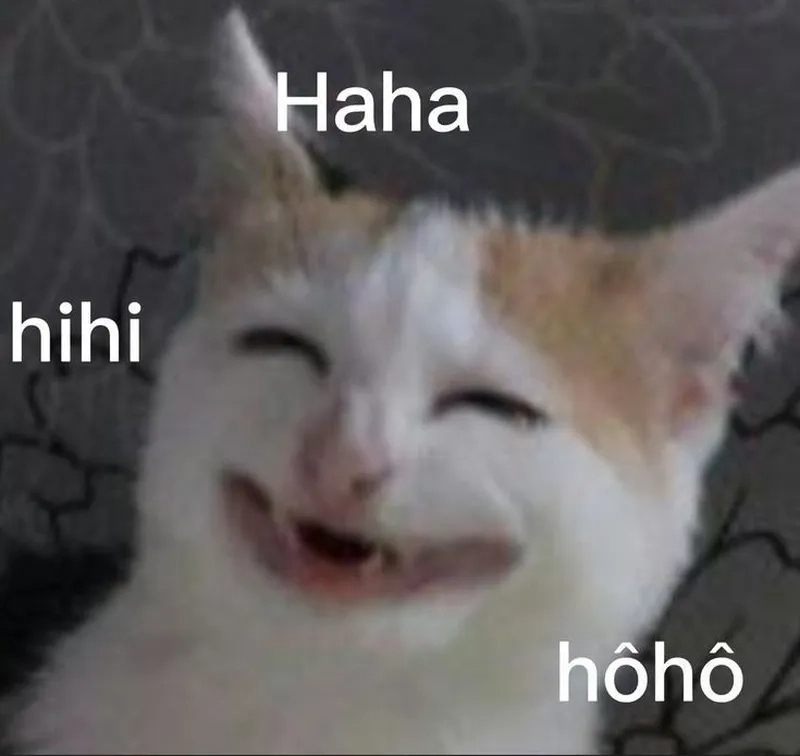Giải trí mỗi ngày cùng haha meme sound effect độc lạ