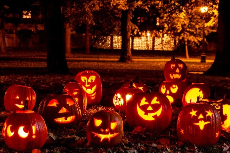Cùng đắm mình trong Halloween rực rỡ
