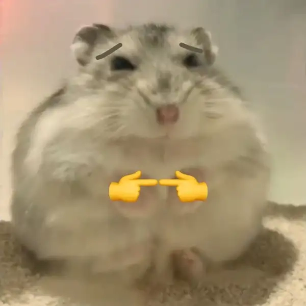 Bật cười không ngớt với nhộn hài meme chuột hamster