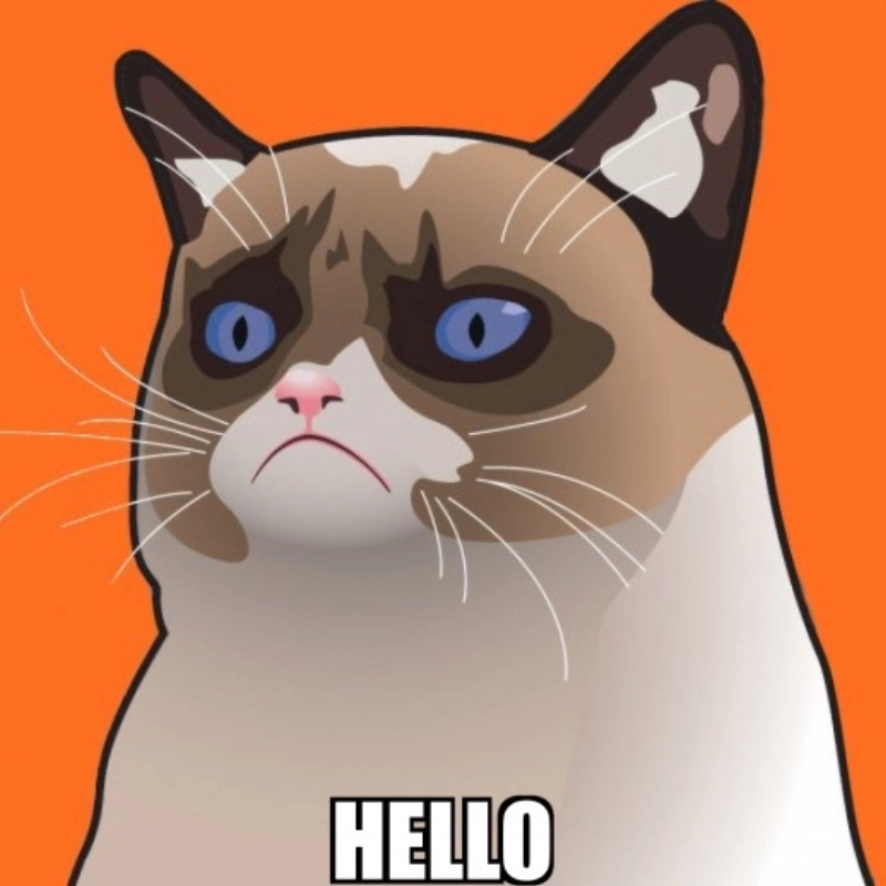 Khám phá ảnh hello meme dễ thương cho mạng xã hội