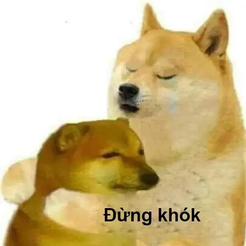 Sự kết hợp bá đạo từ bonk cheems meme và biểu cảm chó Shiba
