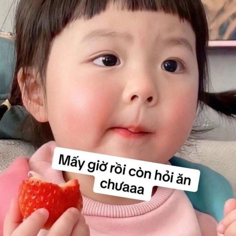 Tải trọn bộ troll ảnh meme cute siêu ngộ nghĩnh