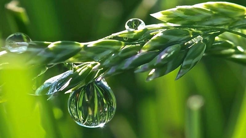 Tìm về hình nền giọt nước sáng tạo