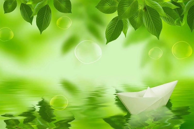 Ngắm nhìn vẻ đẹp hình nền lá cây phong cảnh