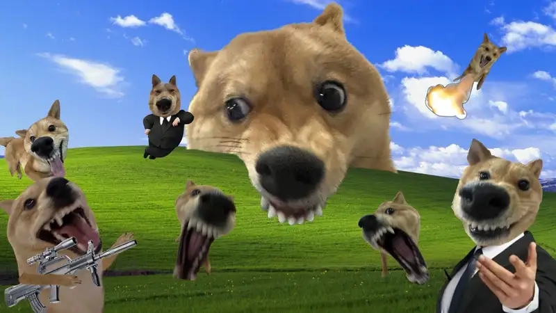 Hình nền máy tính meme là gì?