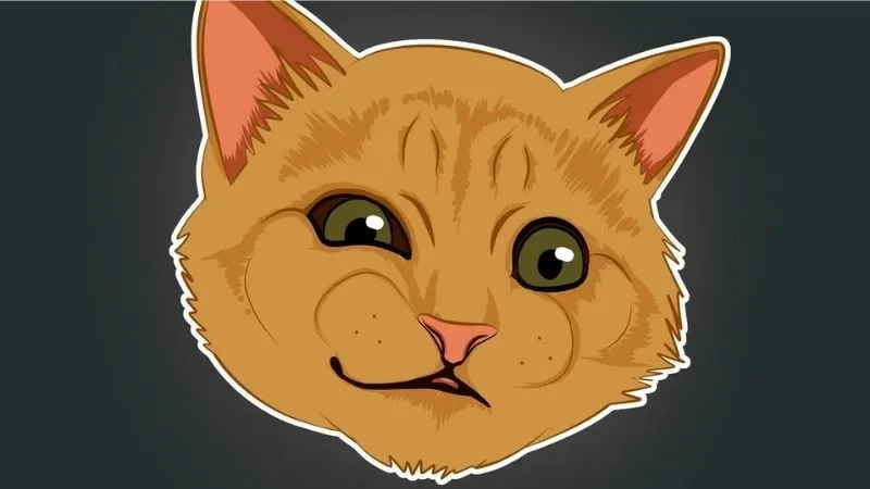 Bộ sưu tập nền máy tính meme hài hước miễn phí