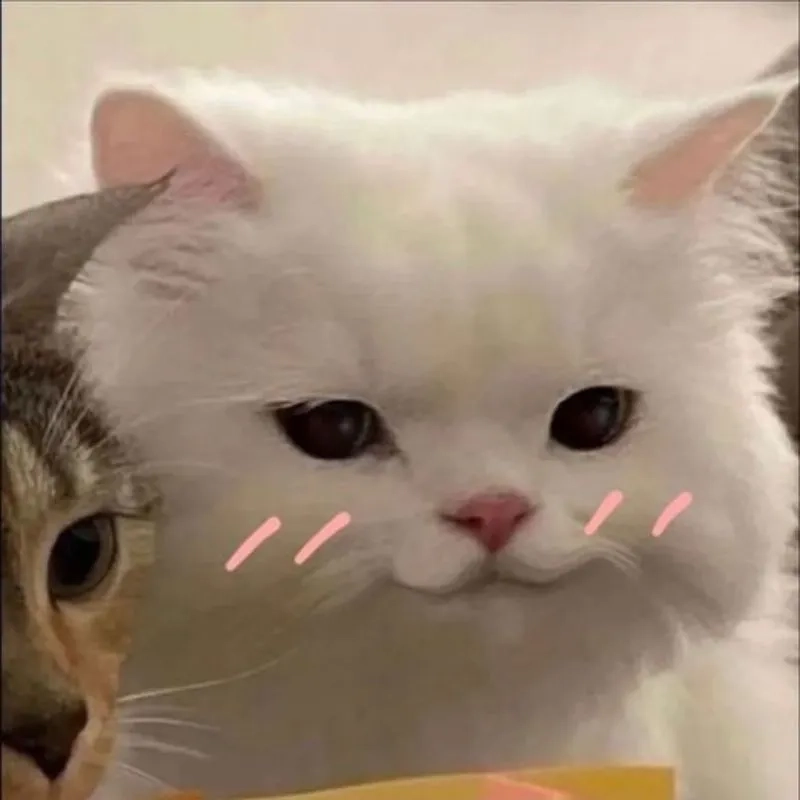 Cười ngất mỗi ngày với meme hình nền tấu hài siêu độc lạ