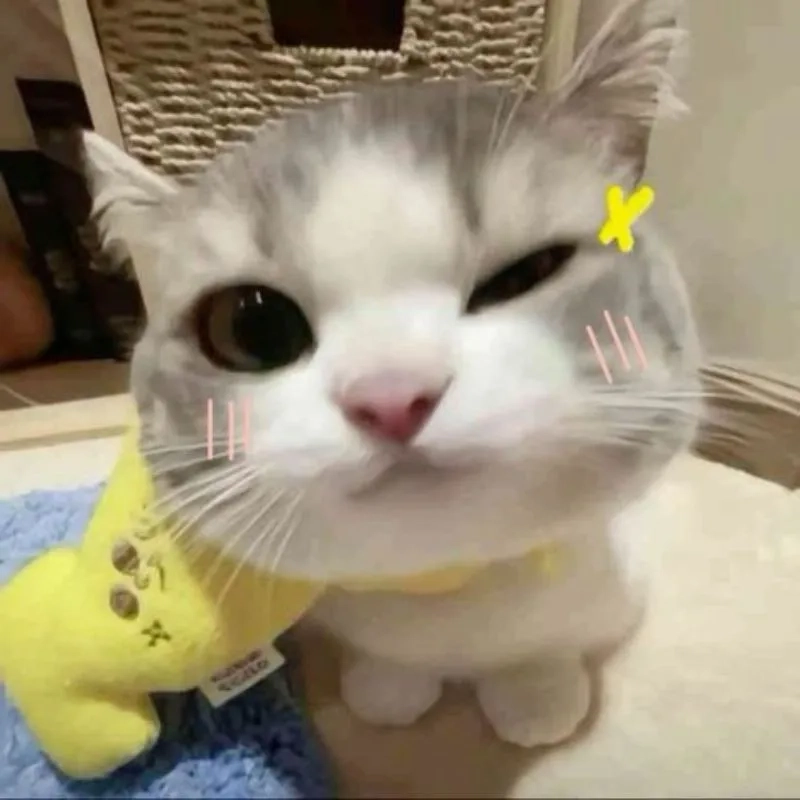 Trải nghiệm sắc nét với hình nền máy tính 4k meme cực chất