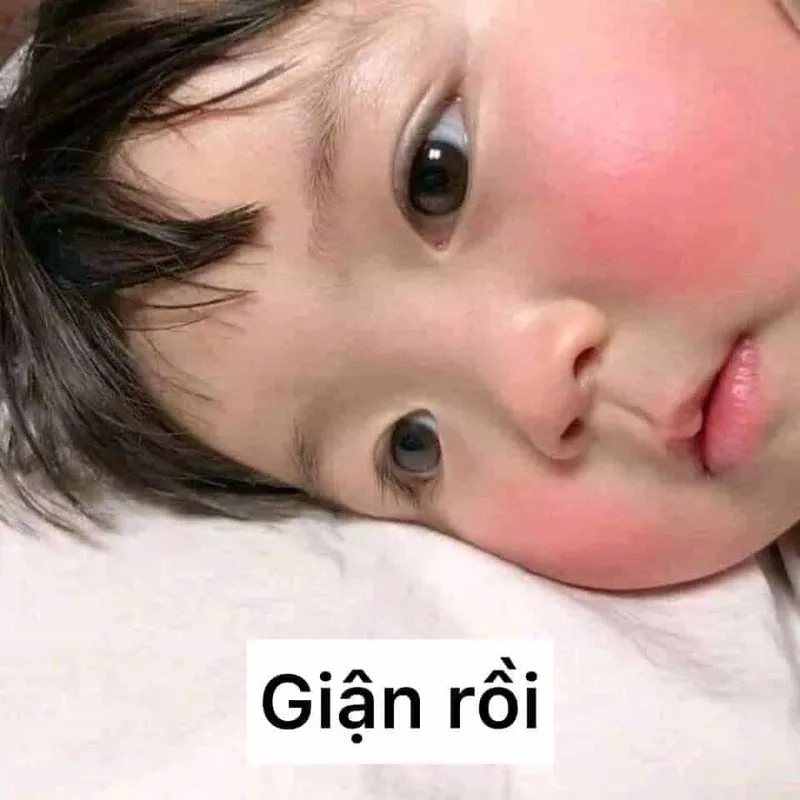 Laptop của bạn sẽ nổi bật hơn với hình nền máy tính meme